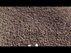 Máy đúc hạt đệm vòng