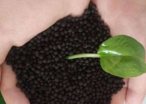 Dòng sản xuất phân bón hữu cơ Pellet cho chim bồ câu